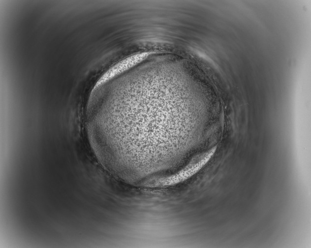 X0000088360870200706051021