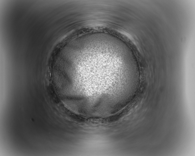 X0000088360871200706051021