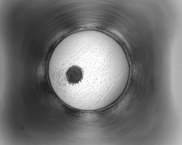 X0000088360874200706051021