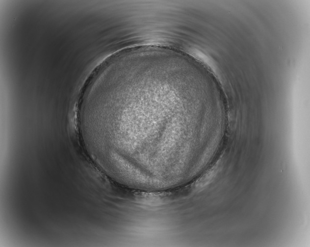 X0000088360875200706051021