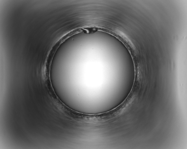 X0000088360876200706051021