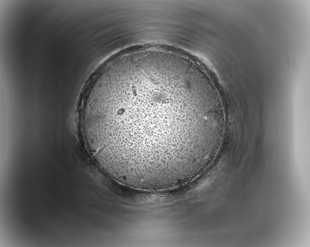 X0000088360879200706051021