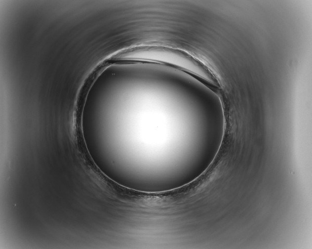 X0000088360880200706051021