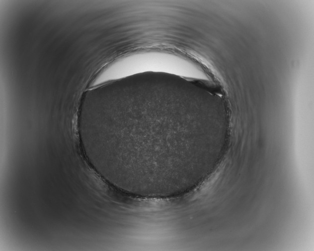 X0000088360881200706051021