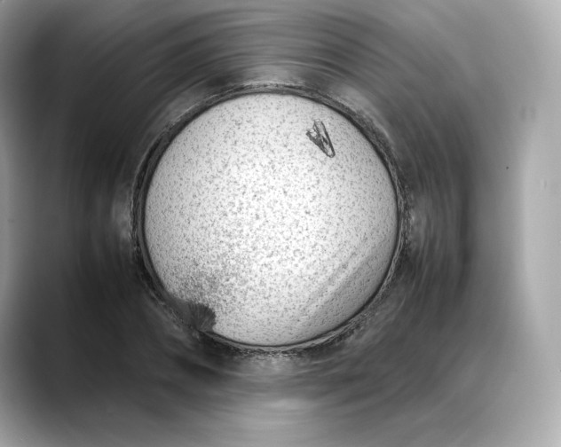 X0000088360882200706051021