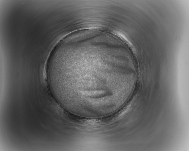 X0000088360883200706051021