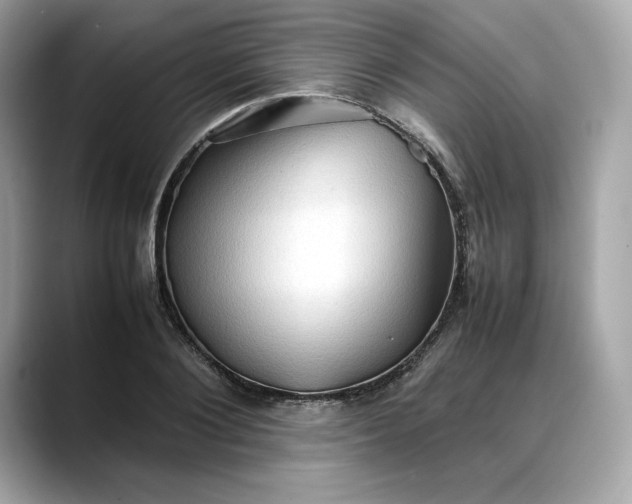 X0000088360884200706051021