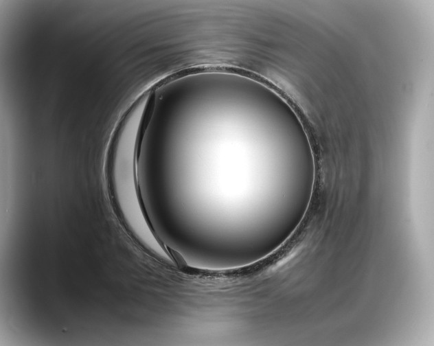 X0000088360885200706051021