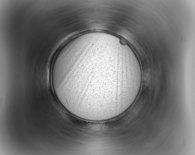 X0000088360886200706051021