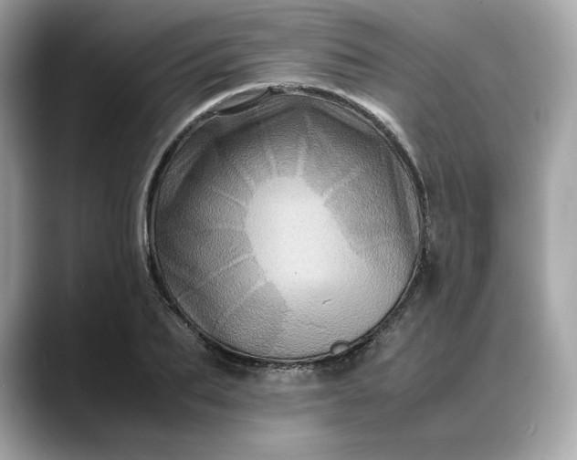 X0000088360887200706051021