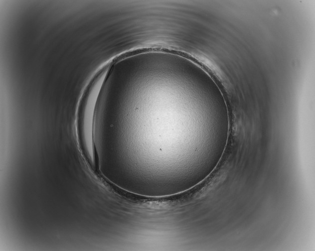 X0000088360888200706051021