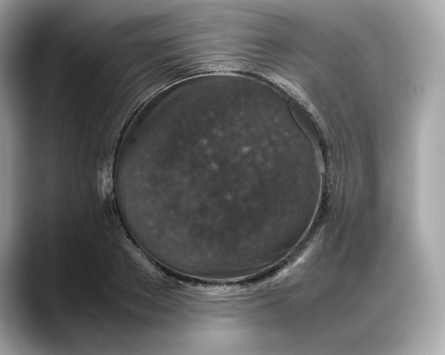 X0000088360889200706051021