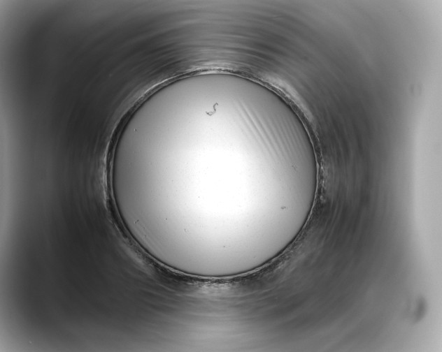 X0000088360890200706051021