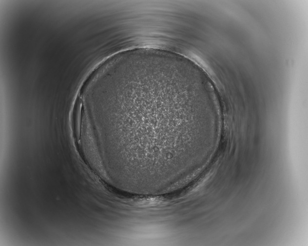 X0000088360891200706051021