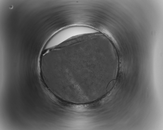 X0000088360892200706051021