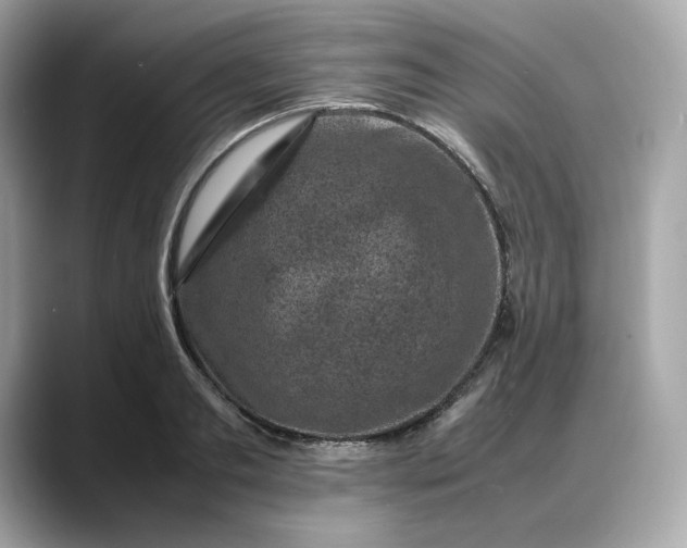 X0000088360893200706051021