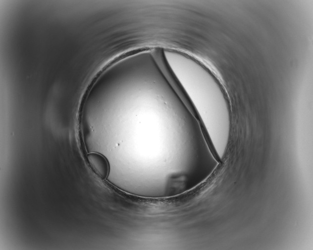 X0000088360895200706051021