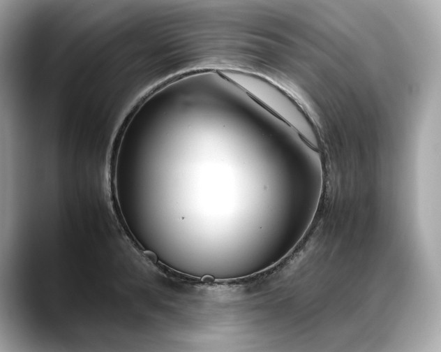 X0000088360896200706051021