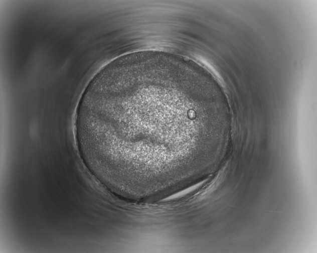 X0000088360899200706051021