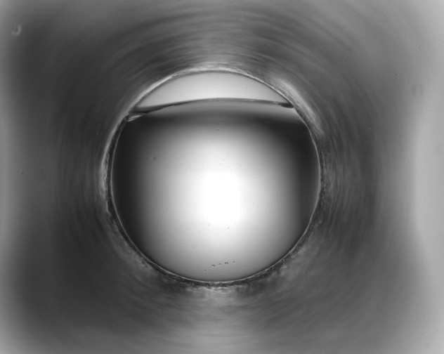 X0000088360900200706051021