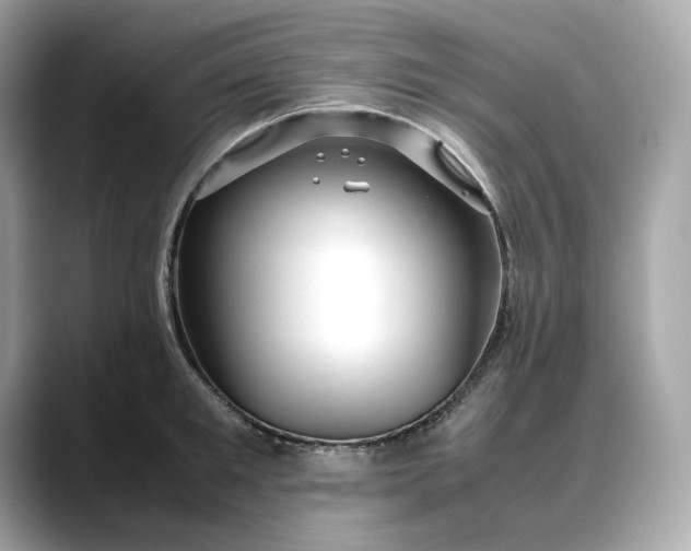 X0000088360901200706051021