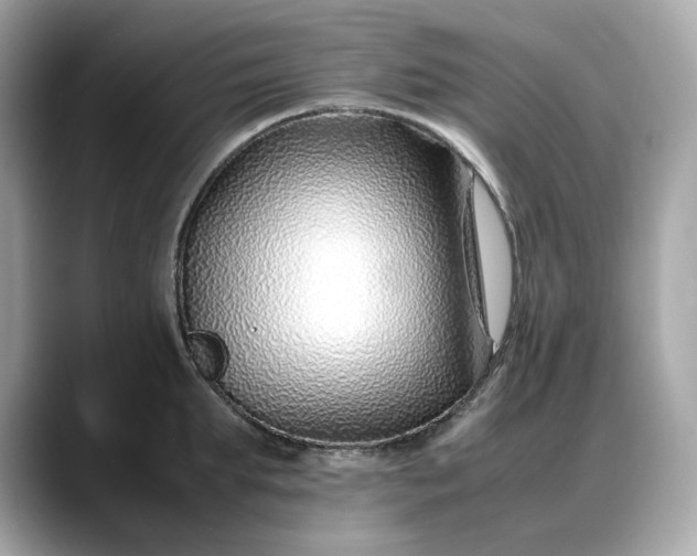 X0000088360903200706051021