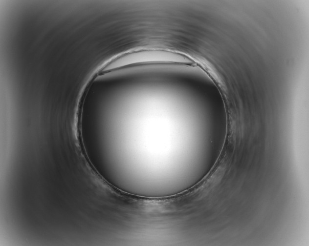 X0000088360904200706051021