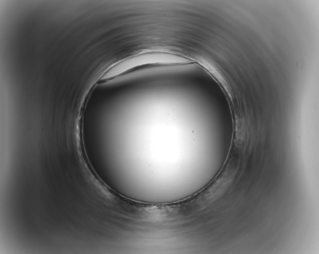 X0000088360906200706051021