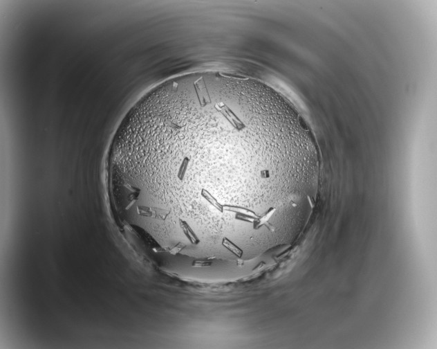 X0000088360907200706051021