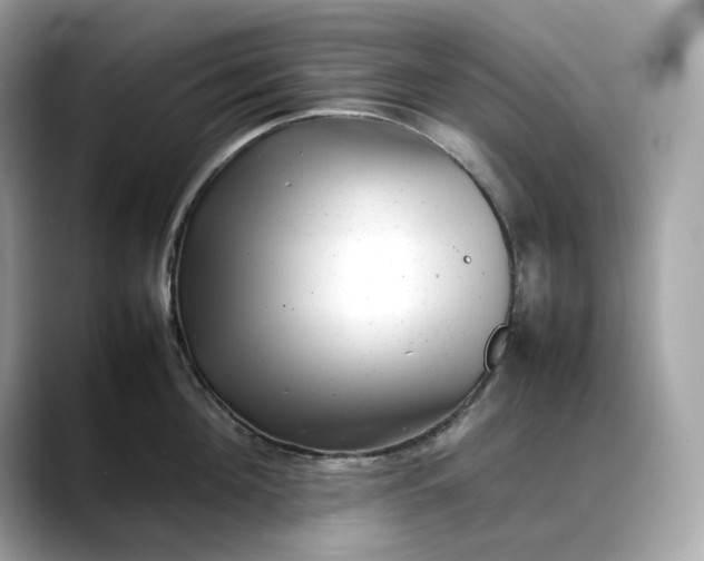 X0000088360908200706051021