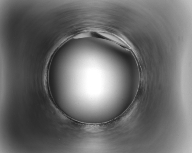 X0000088360909200706051021