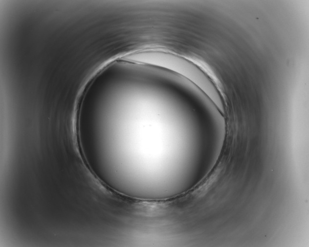 X0000088360910200706051021