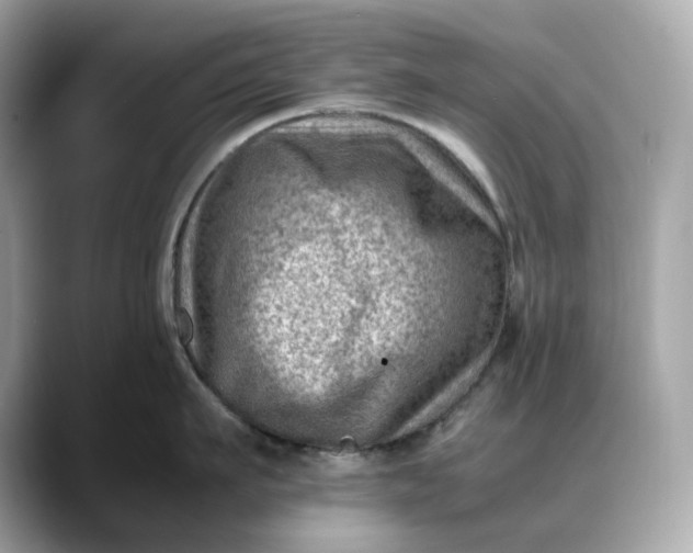 X0000088360911200706051021