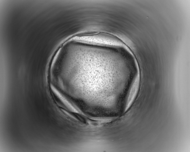 X0000088360912200706051021