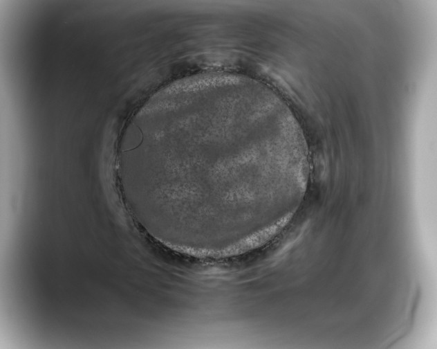 X0000088360913200706051020