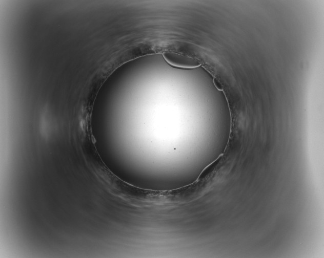 X0000088360914200706051020