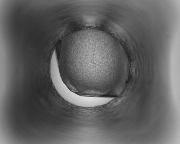 X0000088360916200706051020