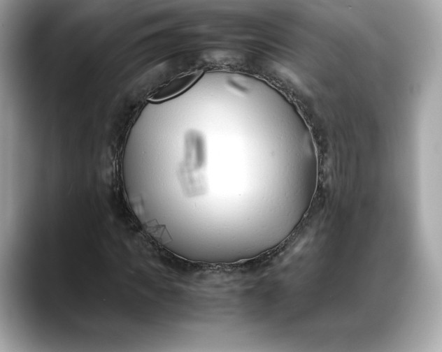 X0000088360917200706051020