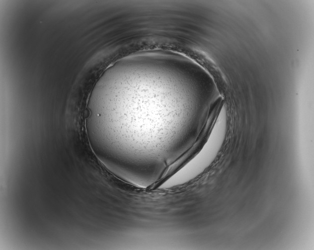 X0000088360919200706051020