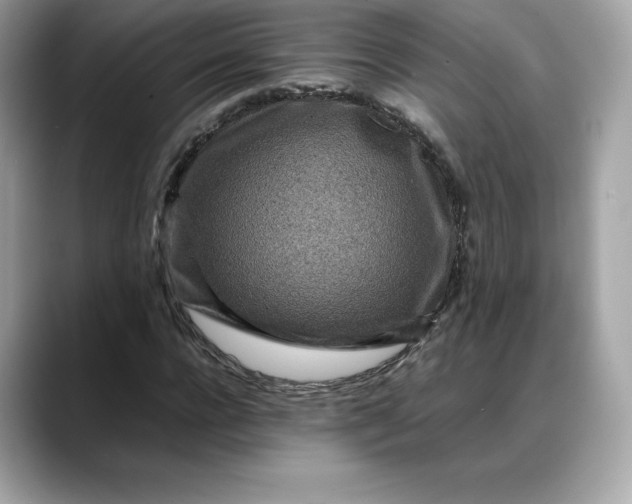 X0000088360920200706051020