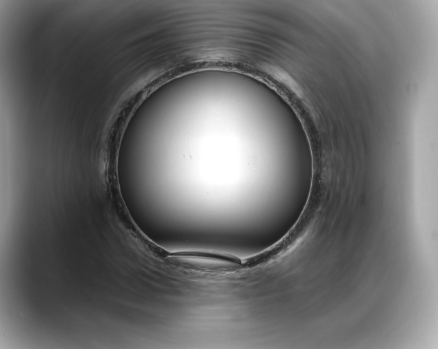 X0000088360922200706051020