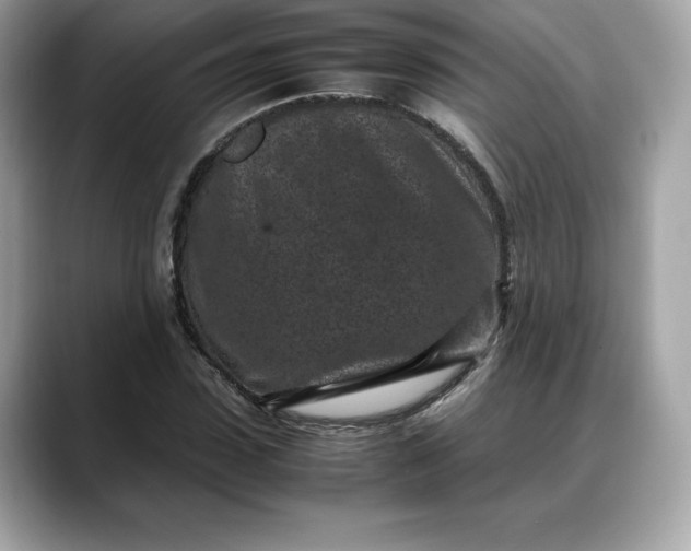 X0000088360923200706051020