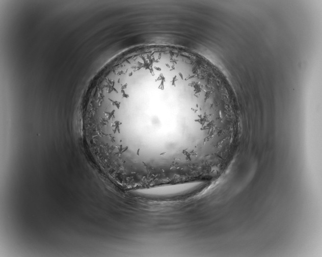 X0000088360925200706051020