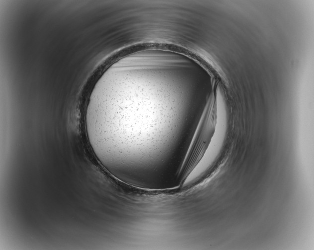 X0000088360926200706051020