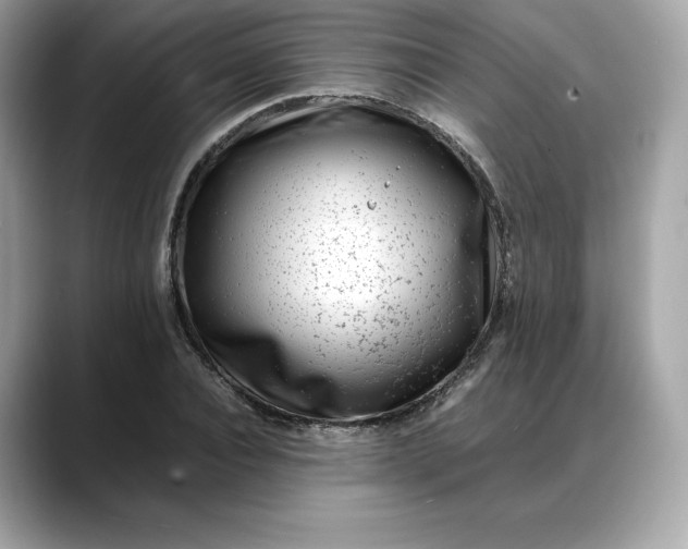 X0000088360928200706051020