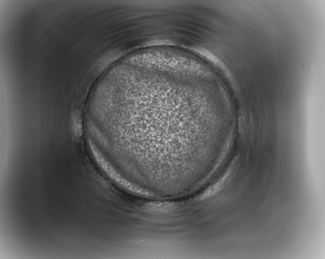 X0000088360929200706051020