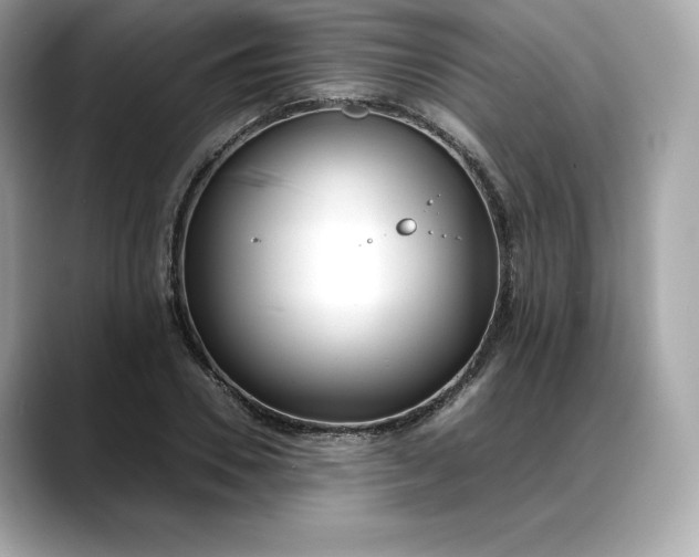 X0000088360930200706051020