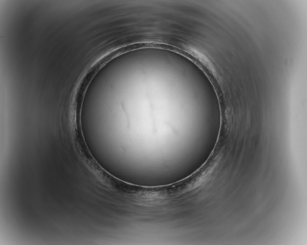 X0000088360931200706051021