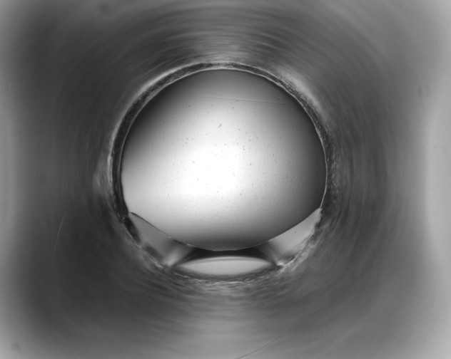 X0000088360932200706051021