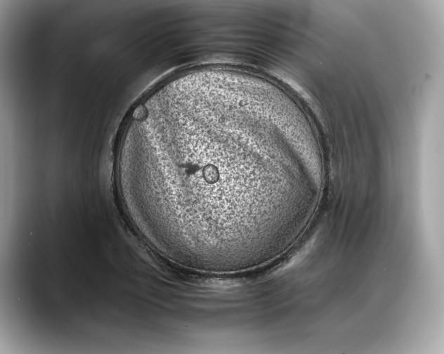 X0000088360933200706051021